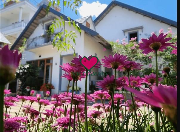 Biệt thự sân vườn 2 Mặt Tiền Đống Đa Phường Xuân Hương - Đà Lạt 