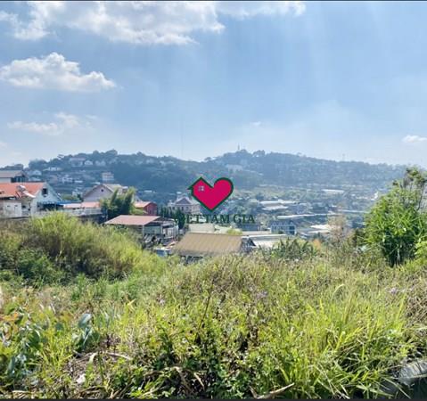 Bán đất mặt tiền đường Triệu Việt Vương Phường Xuân Hương -Đà Lạt view thành phố đẹp.