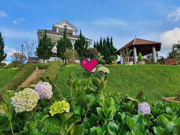 Bán biệt thự sân vườn hẻm Hoàng Hoa Thám Phường Xuân Hương - Đà Lạt view thông vĩnh viễn.