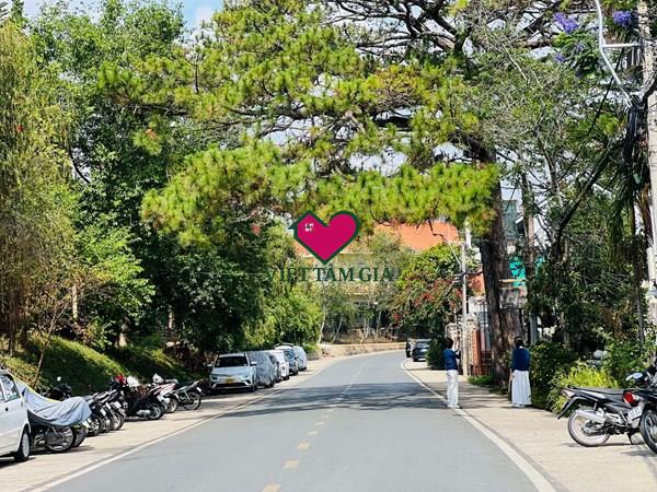 Bán đất MT Phạm Ngọc Thạch Phường Cam Ly - Đà Lạt trung tâm thuận tiện kinh doanh xây căn hộ.