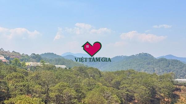 Đất view thông săn mây Xuân Thọ Phường Xuân Trường - Đà Lạt
