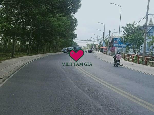 Bán nhà mặt tiền Trần Nhân Tông Phường Xuân Hương - Đà Lạt trung tâm tiện di chuyển.