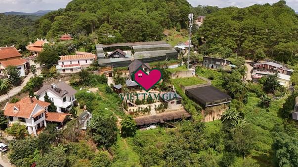 Bán biệt thự sân vườn Hoàng Hoa Thám Phường Xuân Hương - Đà Lạt view thông đẹp vĩnh viễn.