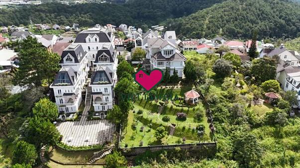 Bán đất mặt tiền Hoàng Hoa Thám Phường Xuân Hương - Đà Lạt view thông đẹp vĩnh viên.