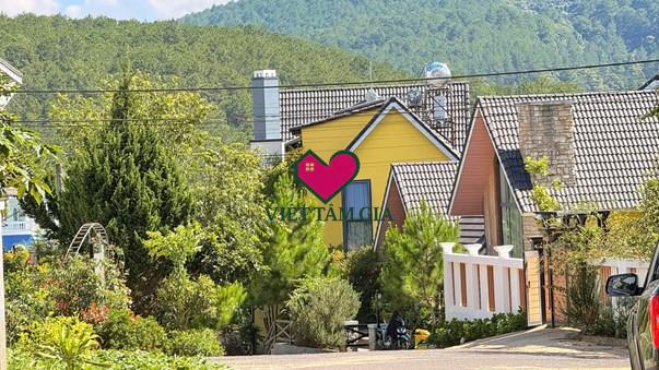 Bán đất KQH An Sơn Phường Xuân Hương Đà Lạt view thông đẹp vĩnh viễn.