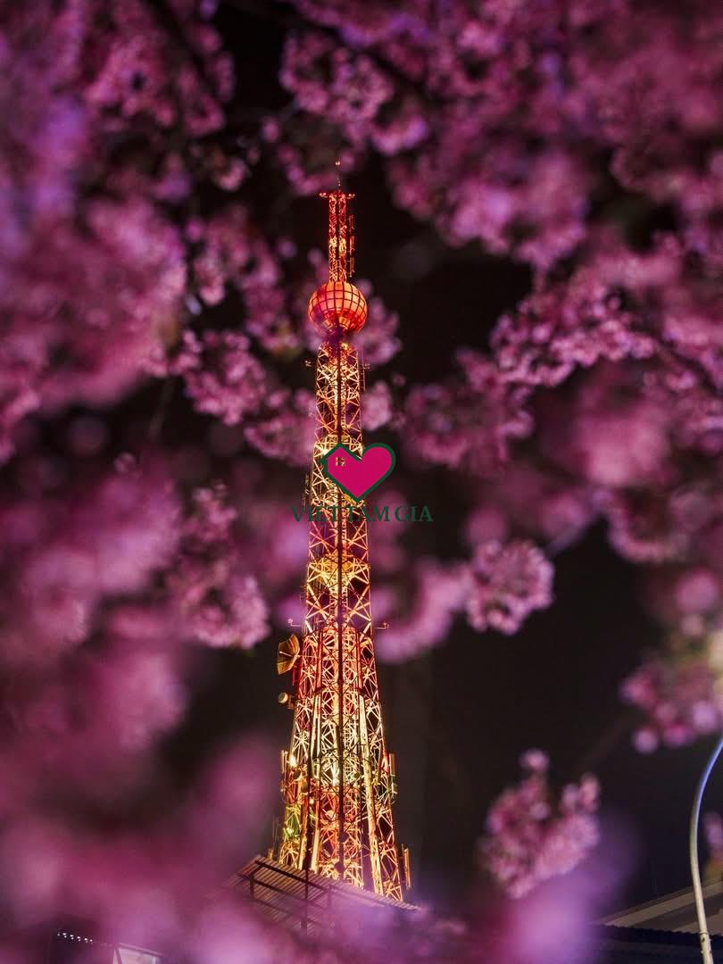 Paris Mini