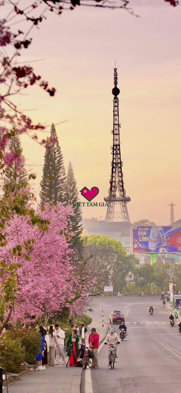 Paris Mini